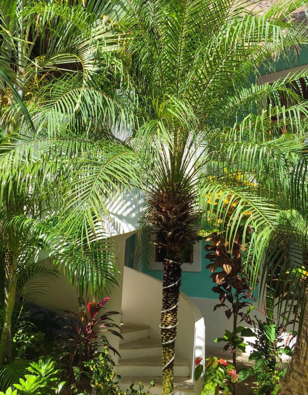 Toto Blue Hotel Boutique Bacalar Ngoại thất bức ảnh